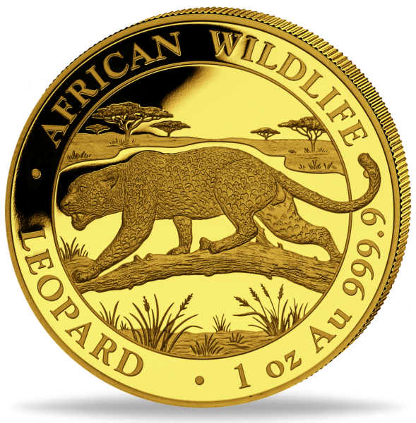 Somalia 1.000 Shillings - Leopardo (1oz. Ouro) 2026